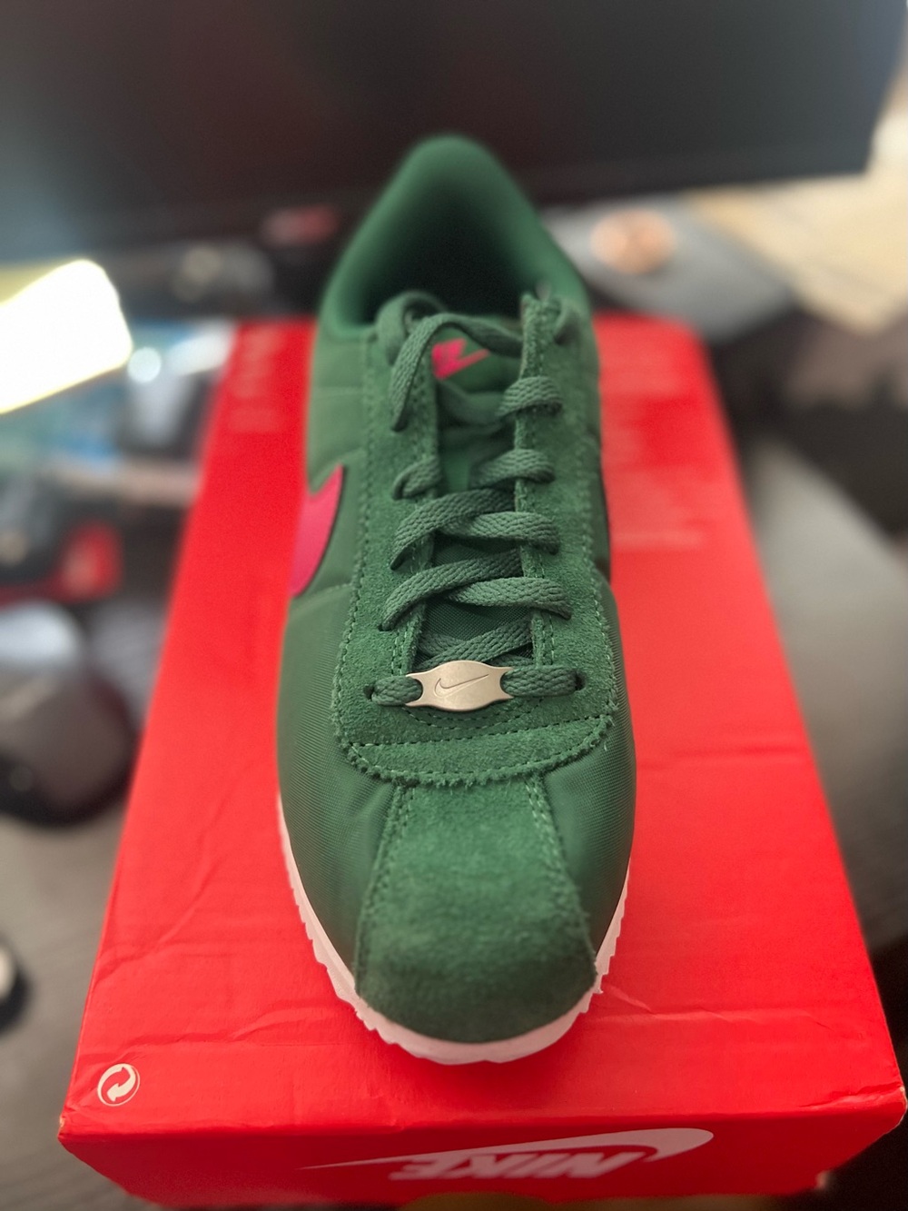 Nike Women’s Green Sneaker with Pink Swoosh